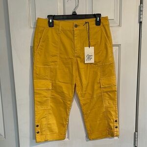 NWT Cosmic Blue Love Yellow Capri size 29P